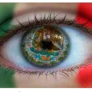 Meet your Posher, Irene